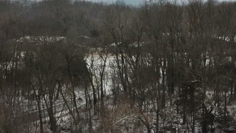 Bare-Trees-By-The-Road-With-Snowfall-Near-Lake-Sequoyah,-Arkansas,-United-States