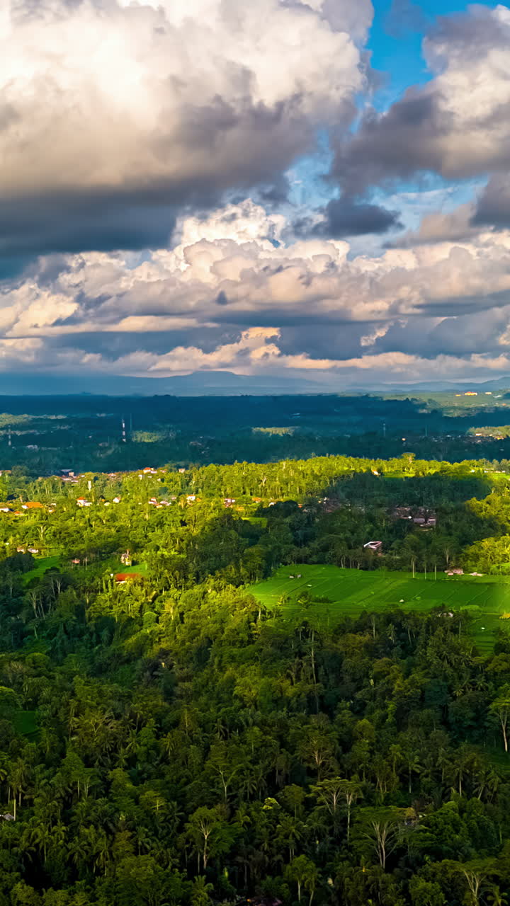 Drone hyperlapse of tropical forest canopy in Kuta Selatan Bali under evening sky, vertical