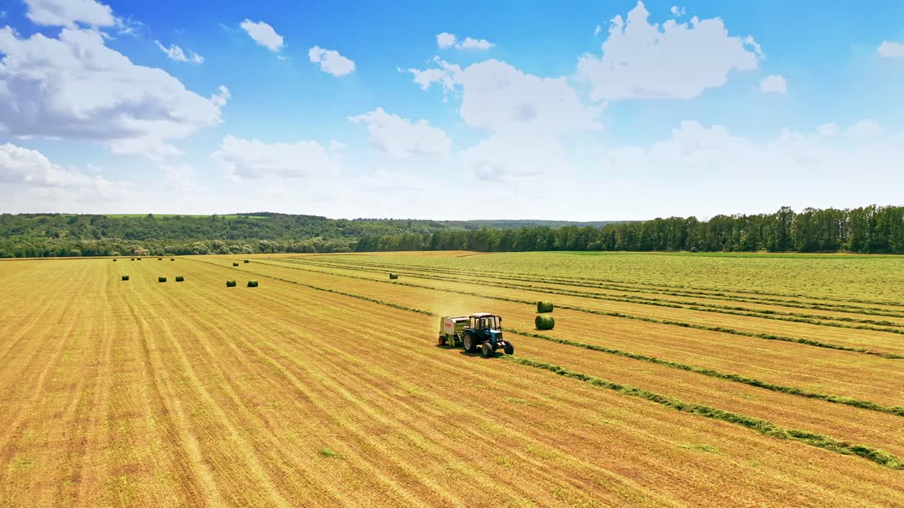 Tractor gather green grass on the field background. Agricultural works of pressing grass into bales. Process of preparation fodder for livestock outdoors.