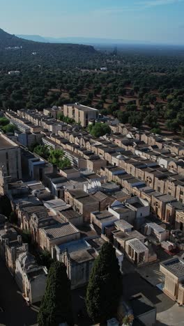 an aerial view of a old italian cemetery with a mountain in the background