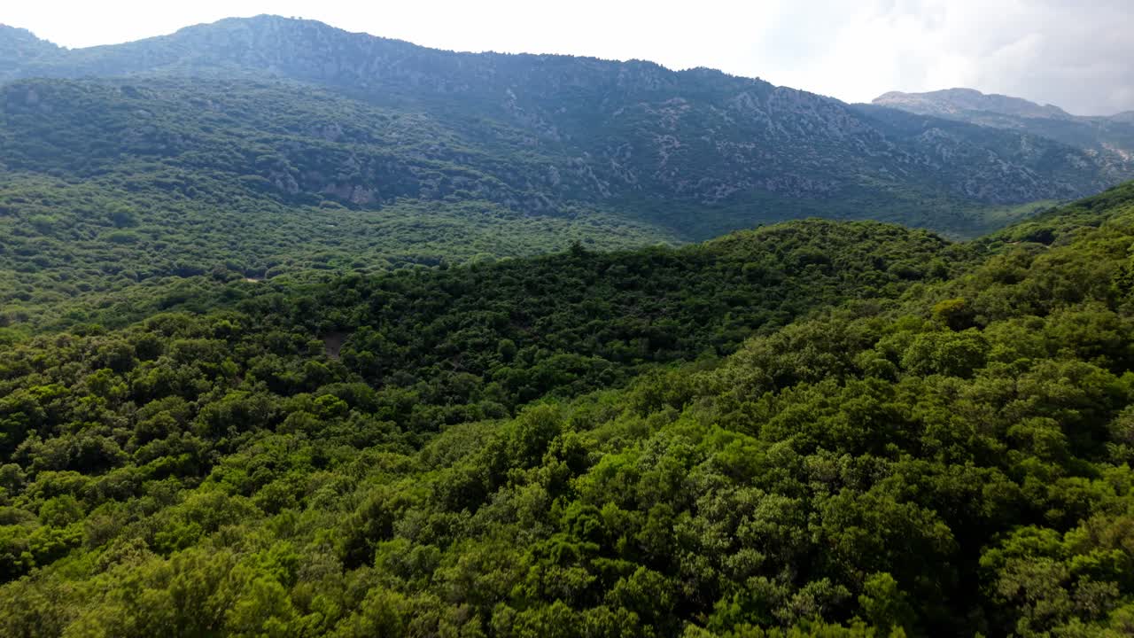 Drone sweeps over dense forest and mountainous ridgeline under cloudy skies in Mornos Greece