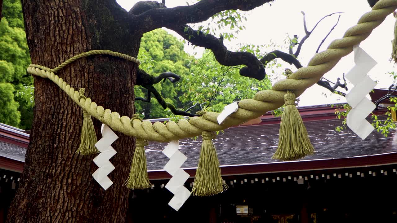 東京最美麗的景色