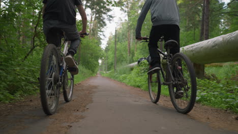 two brothers riding bicycles along a paved untarred path surrounded by lush green trees, one brother stands while cycling, and a log of wood lies along the side of the road