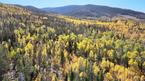 Vista-De-Pájaro-Drone-Siguiendo-El-Cambio-De-Estación-De-Las-Hojas-En-El-Norte-De-Colorado