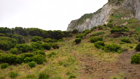 Man-in-yellow-jacket-hiking-the-green-side-of-Morro-de-Castelo-Branco-in-Faial,-Azores