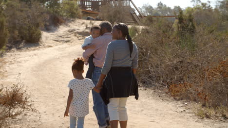 Grandparents-and-grandchildren-talk-while-walking,-back-view