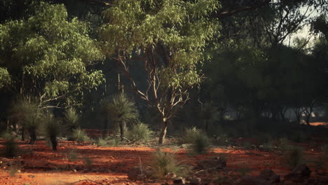 un bosque exuberante y vibrante con una abundancia de árboles verdes