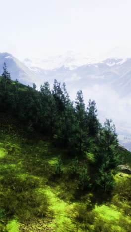 mountain landscape with lush greenery and distant snowy peaks at midday
