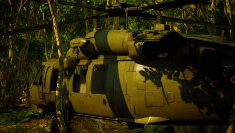 military helicopter in deep jungle