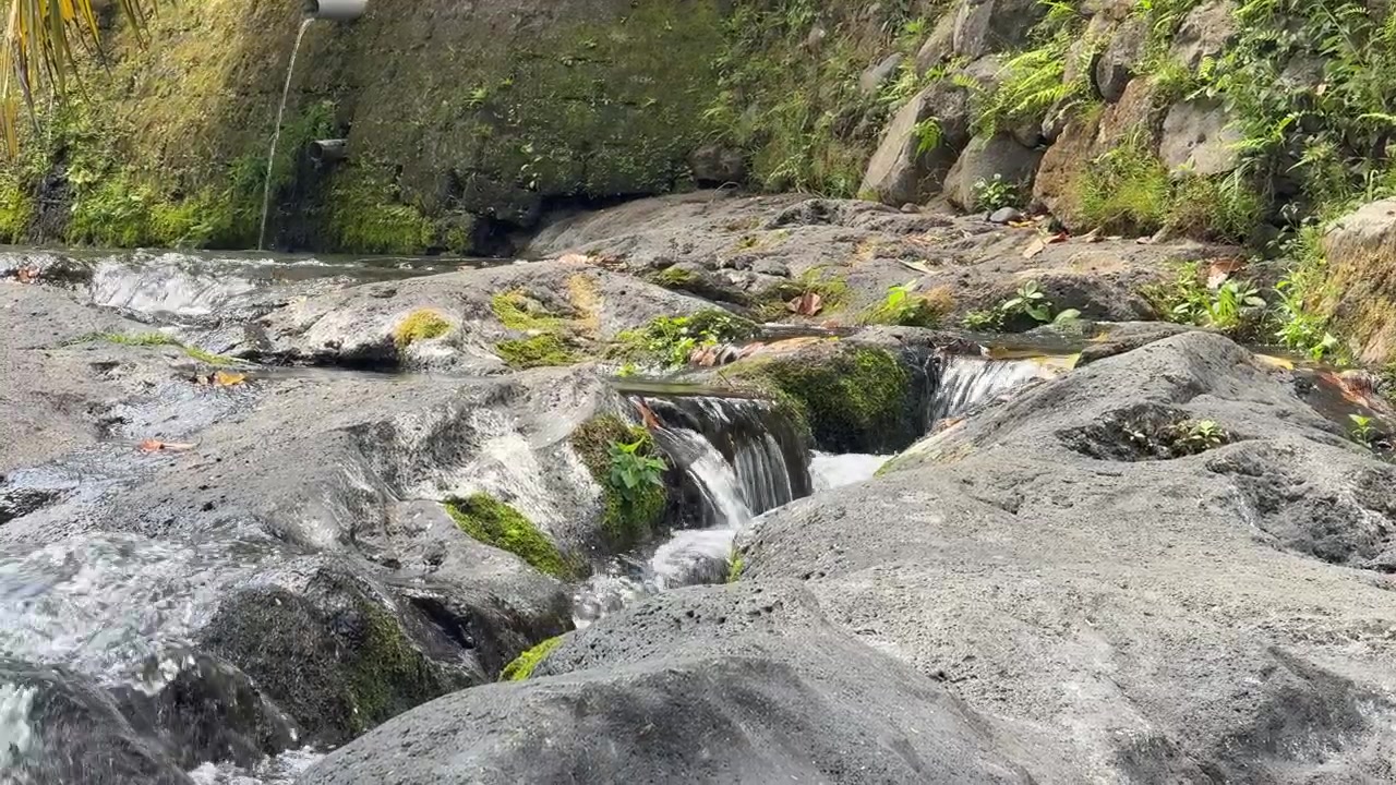 Aliran Sungai Kecil Mengalir di Atas Batu Berlumut di Hutan Tropis