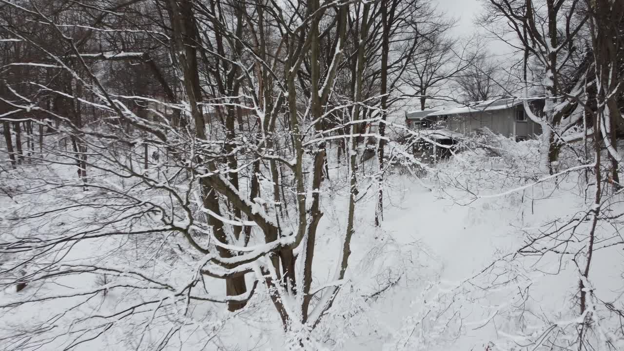 캐나다 온타리오의 눈 덮힌 뒷마당에서 눈 덮힌 나뭇가지를 향해 느린 돌리