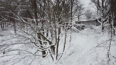 slow dolly towards snow covered branches in snow covered backyard in ontario, canada