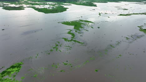 Vista-Aérea-Con-Drones-Del-Río-Amazonas