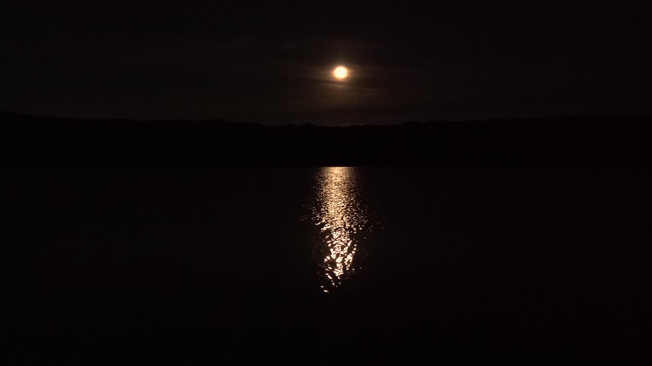 luna piena del raccolto con la riflessione sopra un lago con la siluetta della foresta 4k