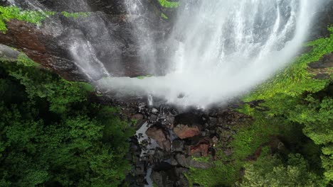 sheets of water cascade over a sheer rock cliff creating a tropical rainforest waterfall