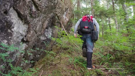 hiker walking away from camera beside rock wall - mackenzie range, vancouver island, bc, canada