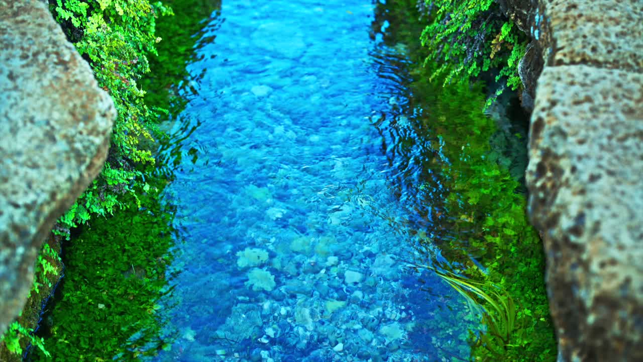 un arroyo prístino y fluyente rodeado de exuberante vegetación y bordes de piedra