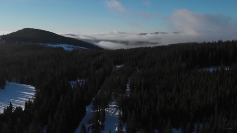 Panning-out-into-snow-covered-and-foggy-forrest