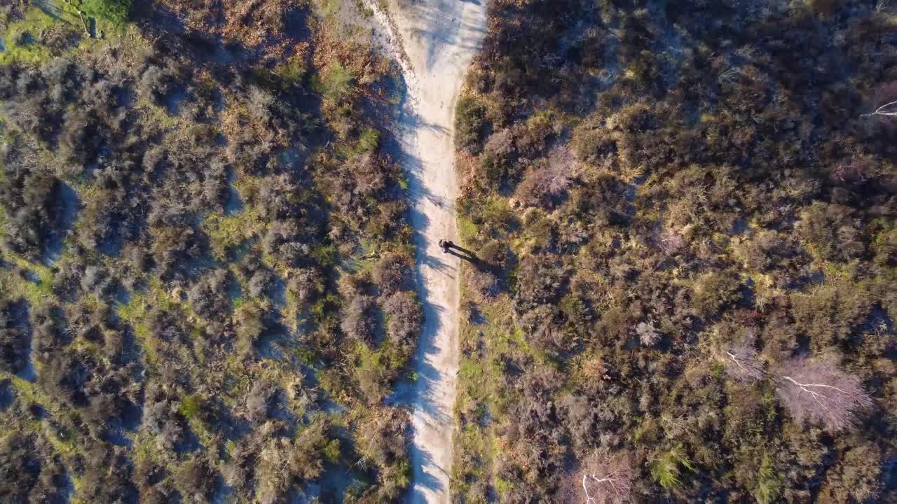 disparo de un dron desde arriba en la naturaleza con una persona caminando por un sendero