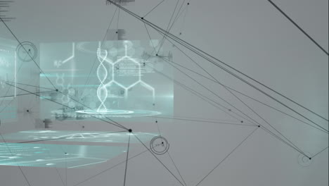 animación de la red de conexiones a través del procesamiento de datos