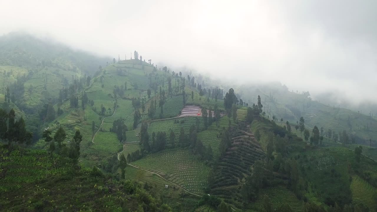 tiro de drone deslizante de plantación en la ladera de la montaña