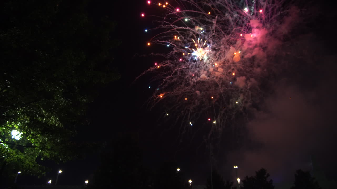 colorido espectáculo de fuegos artificiales por la noche con un árbol verde en primer plano