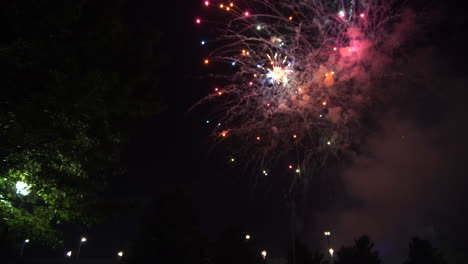 Colorful-firework-display-at-night-with-green-tree-in-foreground