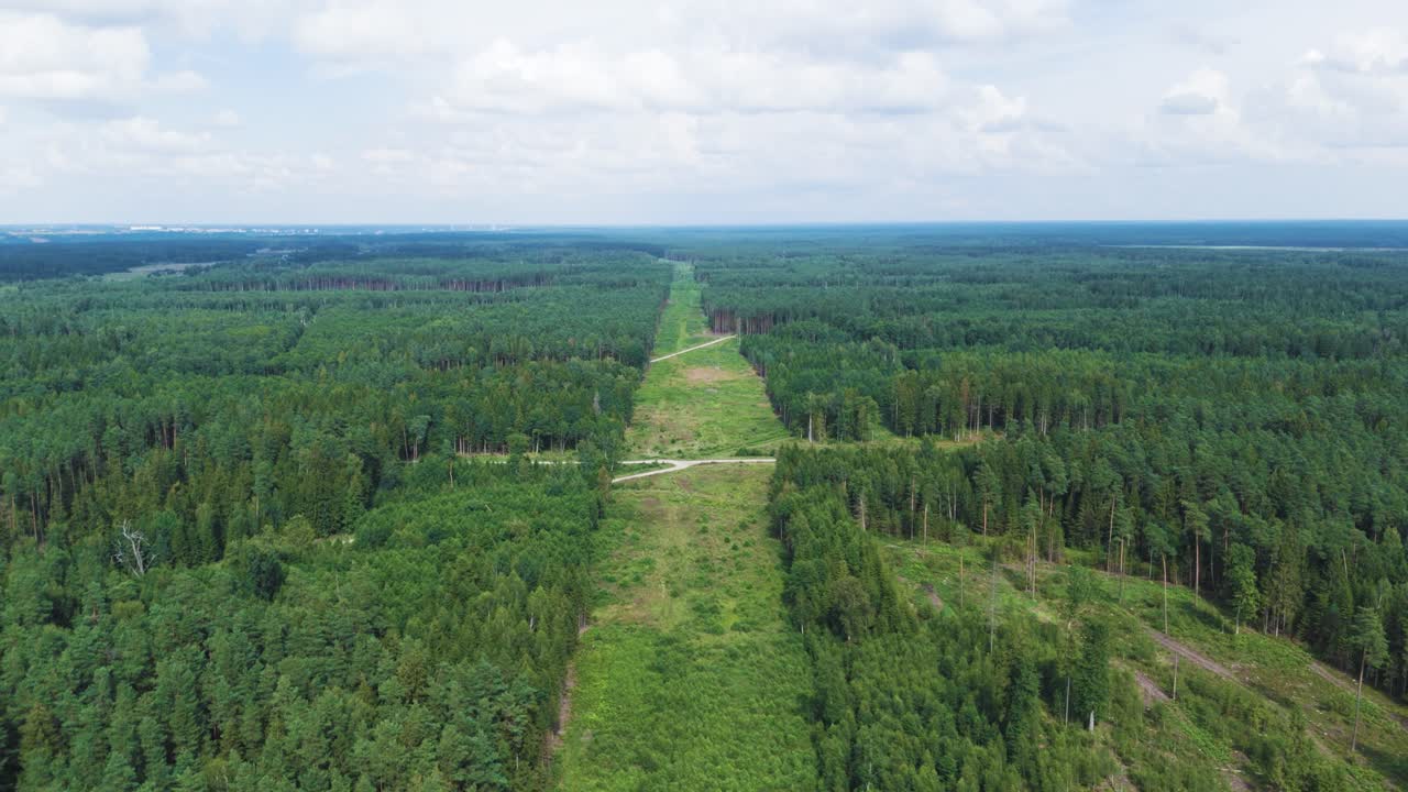 Endless line of forest ready for railway project, aerial view