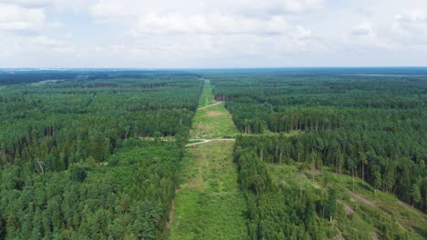 endless line of forest ready for railway project, aerial view