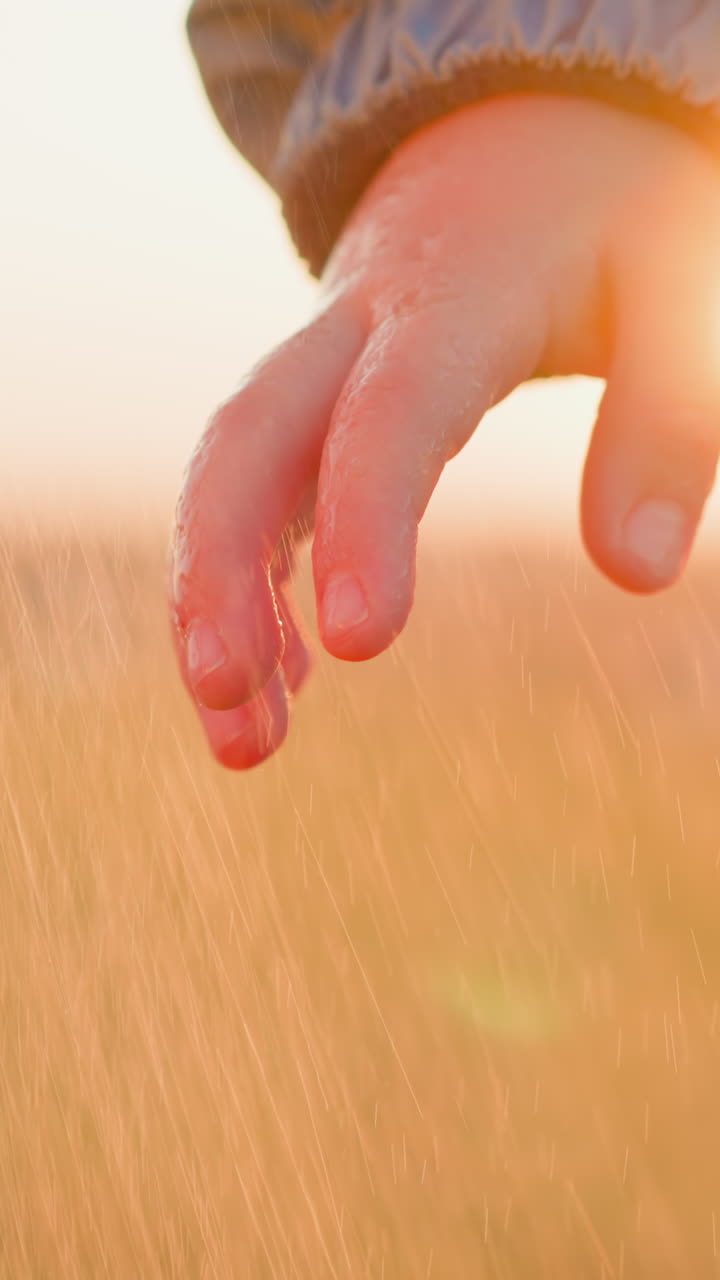 보호 코트를 입은 소년은 비가 내리는 동안 서 있습니다. 물은 역경에 직면한 어린 시절의 무죄의 탄력성에 대한 증거로 레인코트에 반습니다.