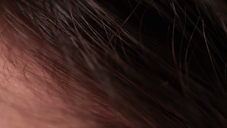 close-up shot of a newborn baby's head that is full of hair