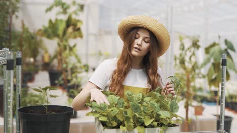 una joven con sombrero riega las plantas con un rociador