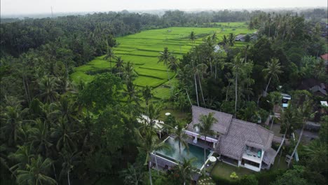 tropical bali vacation rental villa in ubud, cinematic aerial drone view