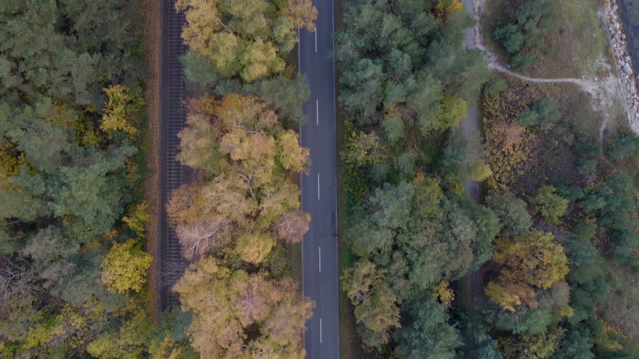 fotografía aérea de aves del paisaje forestal entre el ferrocarril y la carretera costera en la isla de hel