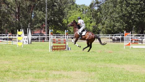 horse and rider jumping over obstacles