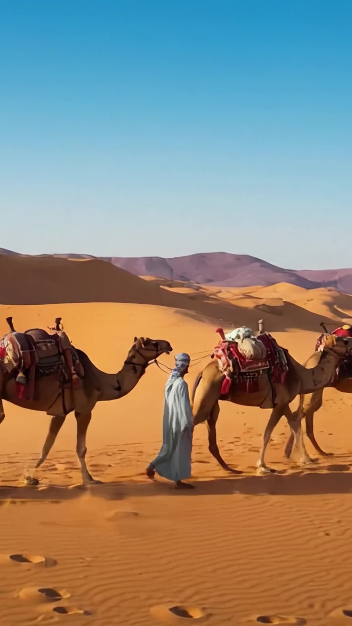 Esplorando le sabbie serene: un viaggio attraverso il deserto con i cammelli, che mostra la maestosa bellezza e tranquillità della natura sotto un cielo azzurro limpido