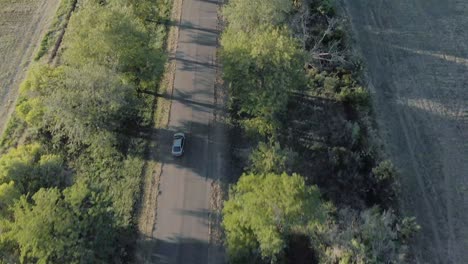 toma aérea de seguimiento del coche en la carretera entre la línea de árboles con el campo verde