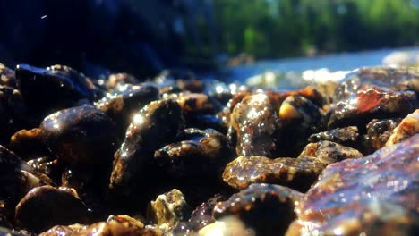 close up wave of water washing over small stones