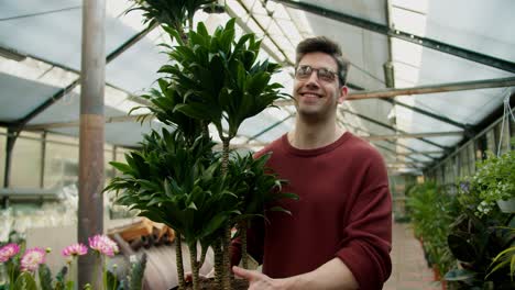 fresh botanicals: young man in brown sweater and glasses examining large lush plant in specialized plant shop