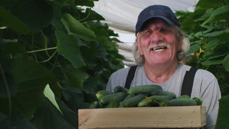 happy farmer with a crate of cucumbers