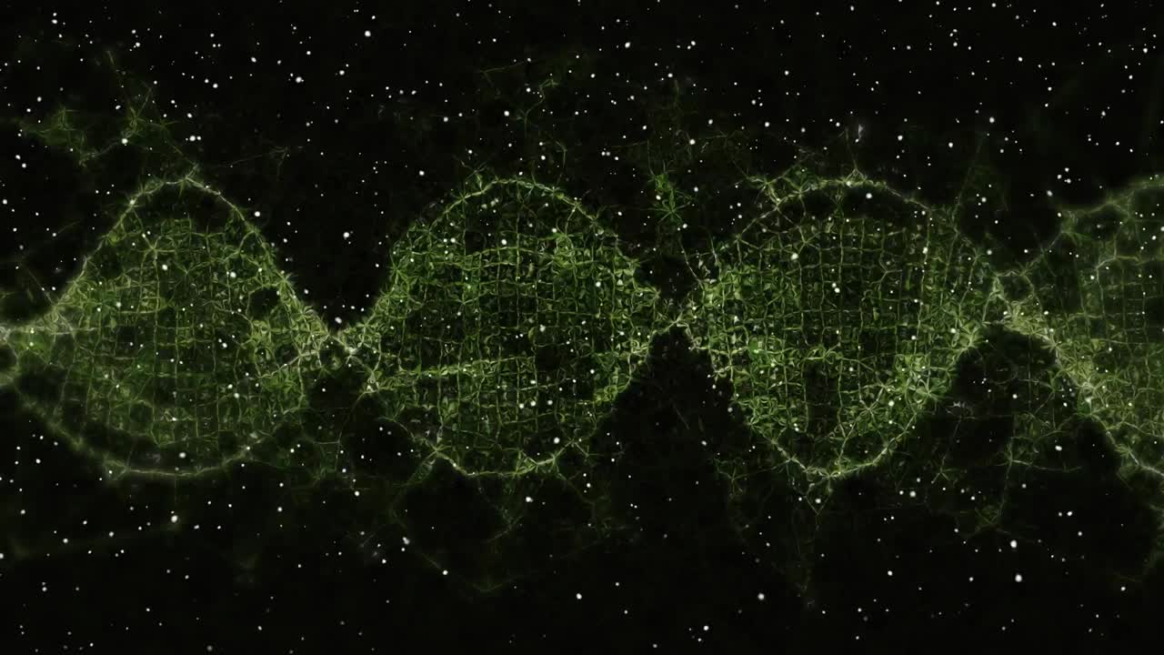 animación digital de partículas blancas que caen sobre ondas digitales verdes contra un fondo negro