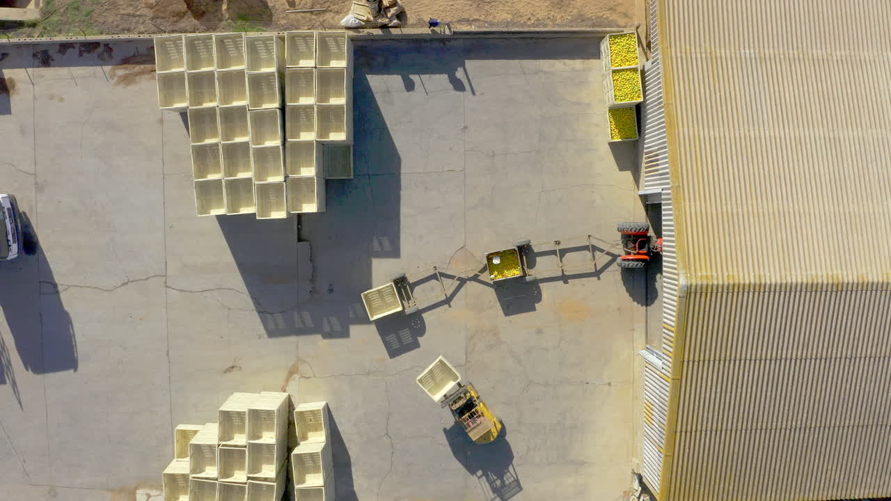 This season's produce was plentiful