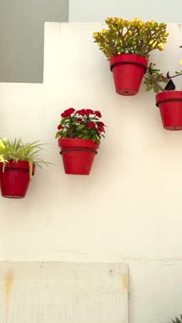 red pots with plants on a white wall