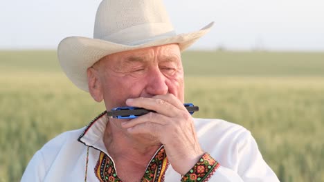 an old ukrainian grandfather plays the harmonica he is dressed in an embroidered jacket an old ukrainian grandfather plays the harmonica he is dressed in an embroidered jacket old grandfather in the wheat field