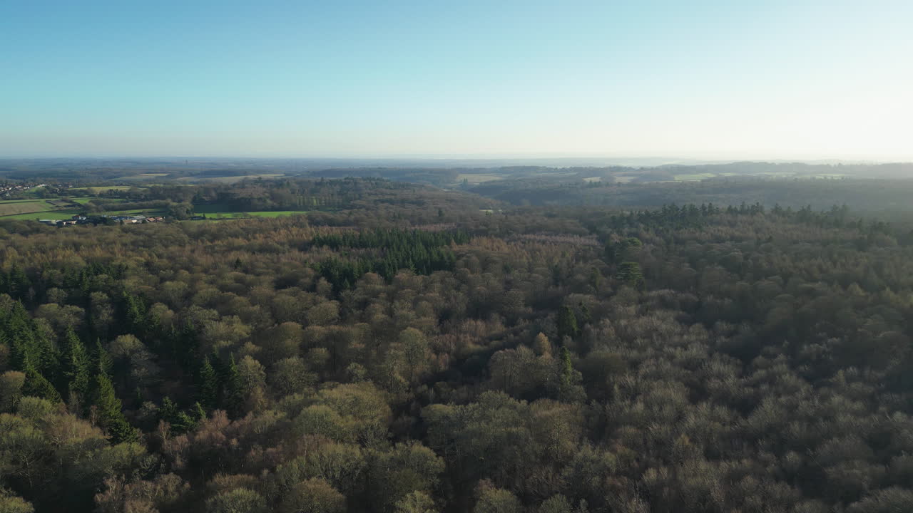 Flying over a forest canopy in the British countryside
