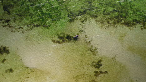 Aerial-top-down-shot-of-boat-cruising-on-clear-baltic-sea-with-clear-water