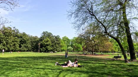 people enjoying a sunny day in the park