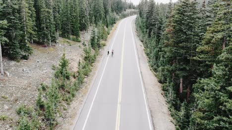 aerial pan down shot of two cyclists near evergreen colorado, usa