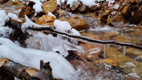 close up of frozen branch covered with ice and icicles fell over a small forest river in winter