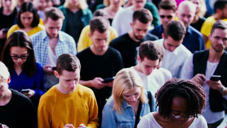 people engaged with smartphones in a crowded urban setting